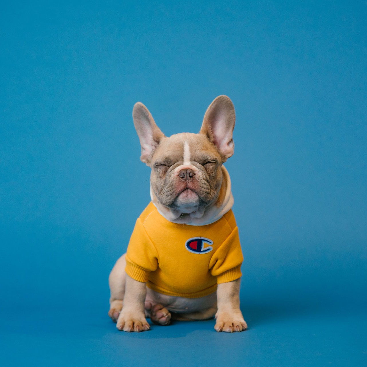 Hockey Club Shop 33 Hockey Club Shop -Hockey Club Shop karsten winegeart 5PVXkqt2s9k unsplash